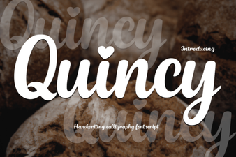 Quincy Font for Creative Web Design Projects